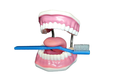 ORAL HYGIEN
