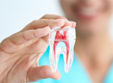 ROOT CANAL THERAPY CANAL THERAPYDGES
